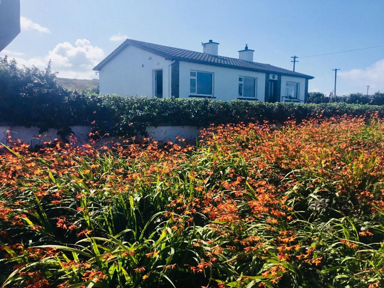 Doolin View Apartment Eksteriør billede